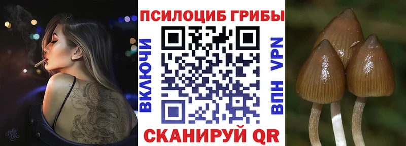 Галлюциногенные грибы Cubensis  хочу   Энгельс 
