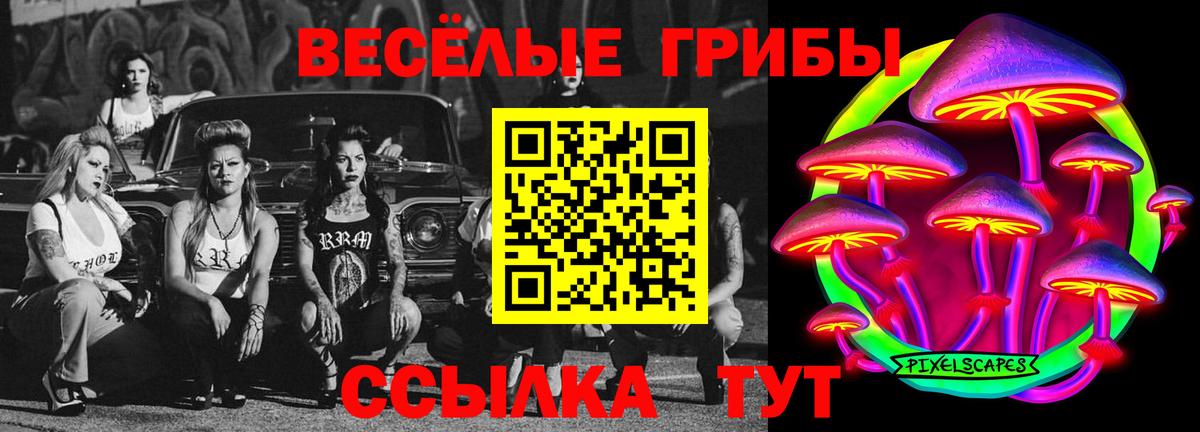 Энгельс  Псилоцибиновые грибы ЛСД  Вход с VPN  Псилоцибиновые грибы ЛСД 