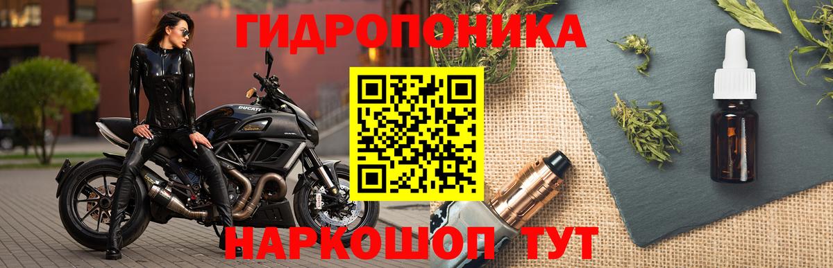 Шишки марихуана сатива Энгельс